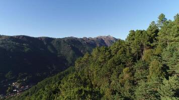 volante al di sopra di montagna foresta video