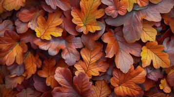 Cluster of Green Leaves Close-Up photo