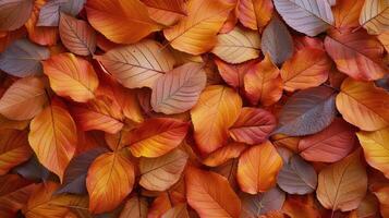 Cluster of Green Leaves Close-Up photo