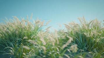 vistoso flores en campo debajo azul cielo foto