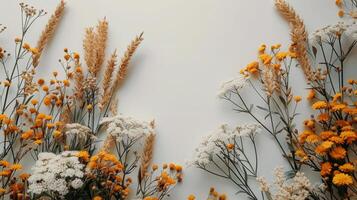 White Flowers Bloom on Wall photo