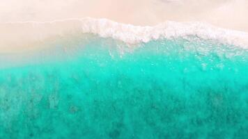 Tropical beach with turquoise ocean water and waves, aerial view. Top view of paradise island video