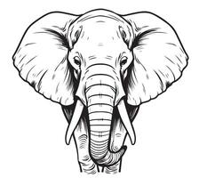 Elephant face sketch vector