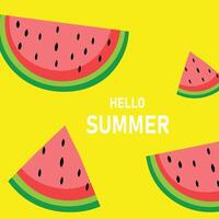 Hello summer watermelon vector