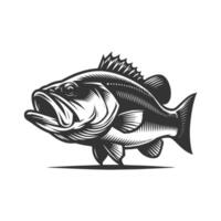 Free Bass fish art illustration, Free download vector