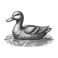 Free Duck Art Illustration vector