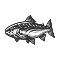 Free Bass fish art illustration, Free download vector