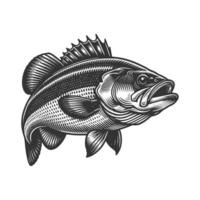 Free Bass fish art illustration, Free download vector