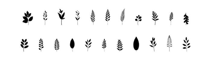 Assorted Leaf Silhouettes Collection vector