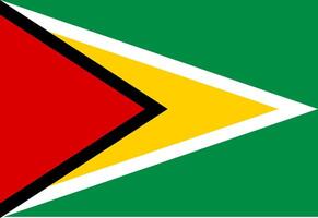 Guyana flag illustrator country flags vector