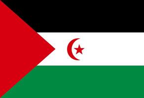 Western Sahara flag illustrator country flags vector