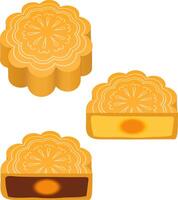 moon cake illustration set Chinese translation Mid Autumn Festival vector