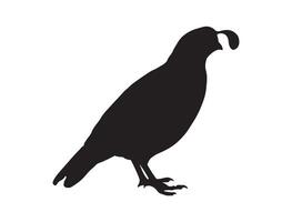 Quail bird silhouette on white background vector