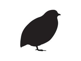 Quail bird silhouette on white background vector