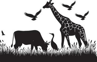 natural animal cow is grazing on the grass. black color silhouette vector