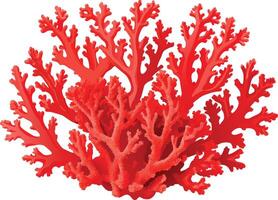 Vibrant red coral growing underwater vector