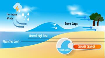 strom surge hurricane climate change effect damage vector