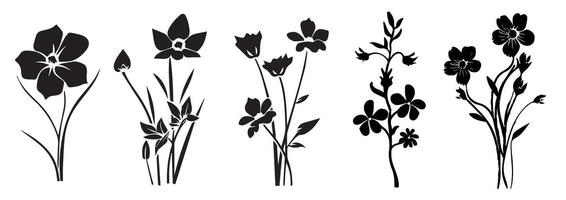 Flowers, plants set silhouette isolated. Collection of various flowers, hibiscus, orchid, daisy, dandelion, heather, rose, crocus, black graphic. Wildflower silhouette set. vector