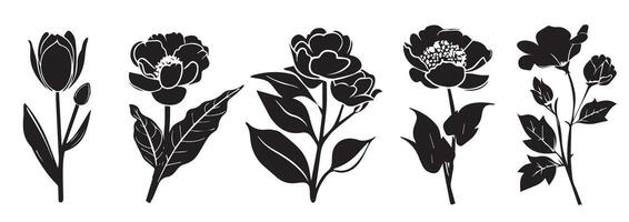 Flowers, plants set silhouette isolated. Collection of various flowers, hibiscus, orchid, daisy, dandelion, heather, rose, crocus, black graphic. Wildflower silhouette set. vector