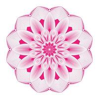 An intricate red pattern mandala style vector