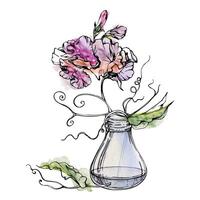 Hand drawn watercolor ink illustration botanical flowers leaves. Sweet everlasting pea, vetch bindweed legume. Glass vase bouquet isolated on white background. Design wedding, love cards, floral shop vector