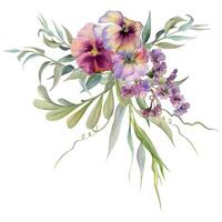 Hand drawn watercolor illustration botanical flowers leaves. Mauve pansy viola, locust indigo branch, willow eucalyptus, bergenia heliotrope lungwort, tendrils. Bouquet isolated white. Wedding, cards vector