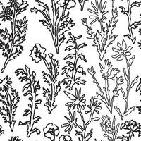 Abstract wild plants and flowers seamless pattern. Botanical ornament of continuous line drawing. floral design. vector