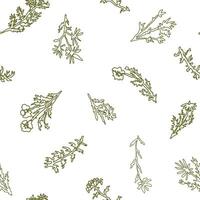 Abstract wild plants and flowers seamless pattern. Botanical ornament of continuous line drawing. floral design. vector