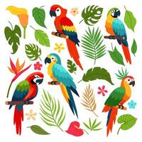 Set of tropical plants and parrots. Tropical bird. Jungle plants. Tropical flowers. Flat style design. vector