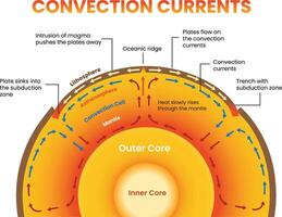 Illustration of convection currents diagram vector