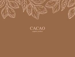 Cocoa fruit on branch with leaves hand drawn label background for text. Template with cacao plant for logo, card, print, paper, sign, design, wrapping. Chocolate ingredient, organic oil, food, beauty vector