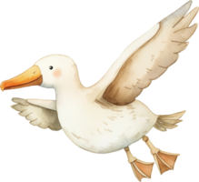 Cute Albatross watercolor png