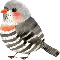 Cute Zebra Finch watercolor png