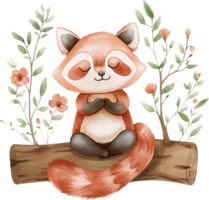 carino rosso panda acquerello png