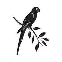 Parrot silhouette on white background isolated on white background vector