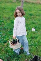 A young girl is holding a basket with a black rabbit in it photo