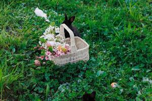 A basket full of flowers and eggs is being carried by a rabbit photo