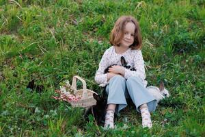 A young girl sits in a field with a basket of rabbits photo