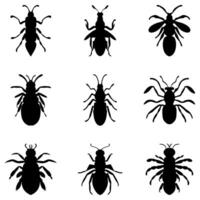 Simple insect illustration design set vector