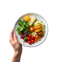 A person is holding a plate of food that includes a variety of vegetables png