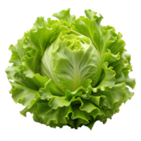 A close-up image of a fresh, green lettuce head with wavy leaves. The lettuce is isolated on a transparent background png