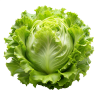 A single head of green butterhead lettuce with curly leaves, isolated on a transparent background png