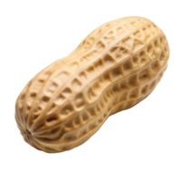 A close-up image of a single peanut shell, with the intricate detail of its ridges and texture clearly visible png