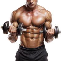 A man is lifting weights with two dumbbells in his hands png