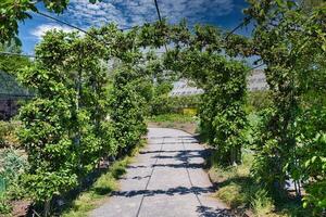 jardín ruta con verde arco foto