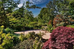Lush Botanical Garden with Pathway photo
