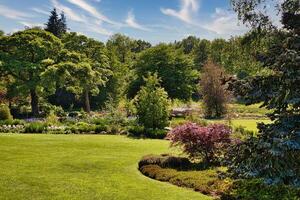 Beautiful Garden Landscape with Lush Greenery photo