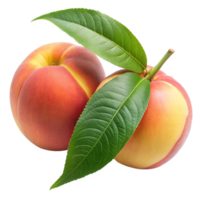 Two ripe peaches, one slightly larger than the other, sit side by side on a transparent background. png