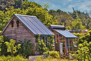 Rustic wooden shed and greenhouse in a garden photo