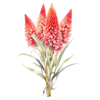 acuarela flor ramo, acuarela diseño png